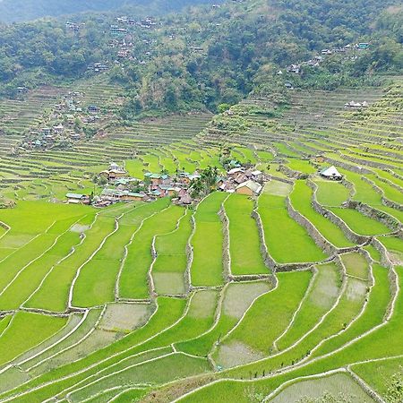 Banaue Transient House Bed And Breakfast Extérieur photo